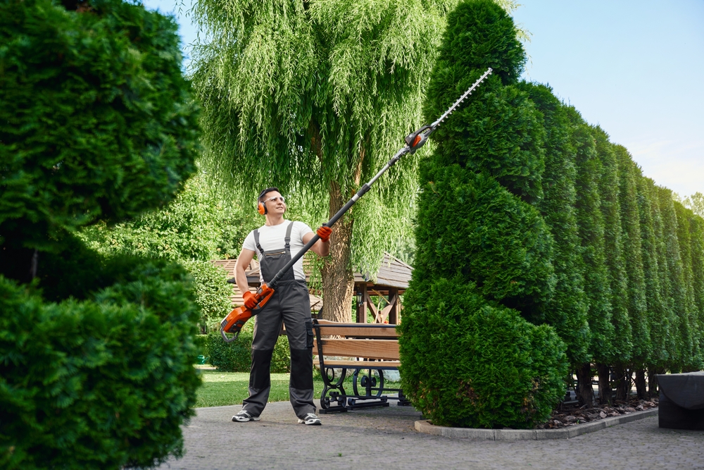 landscaper trimming trees in a backyard.